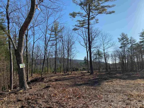 Lot 53 Remington Court Tuftonboro NH 03816