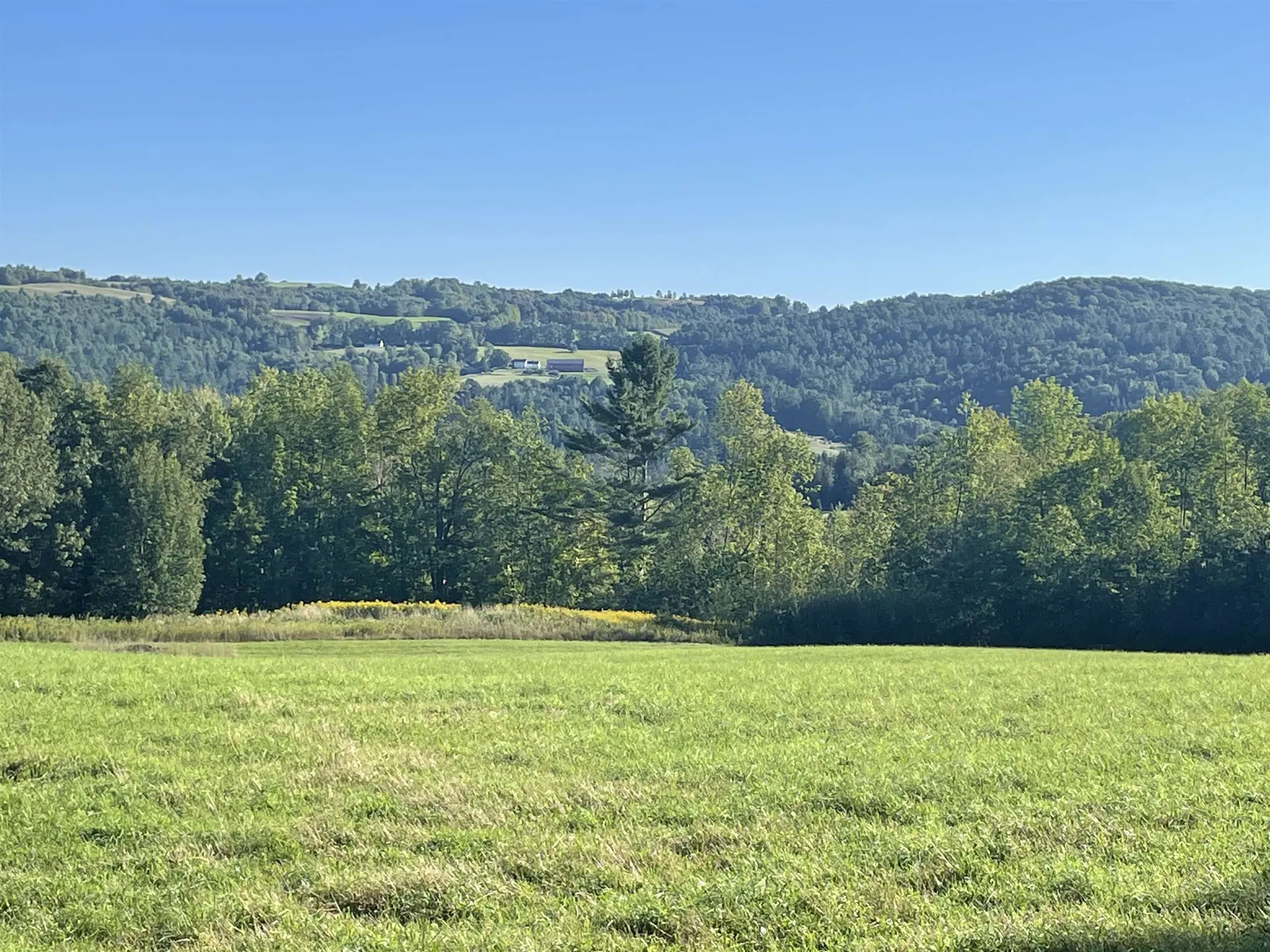 350 Bayley Hazen Road Peacham VT 05660