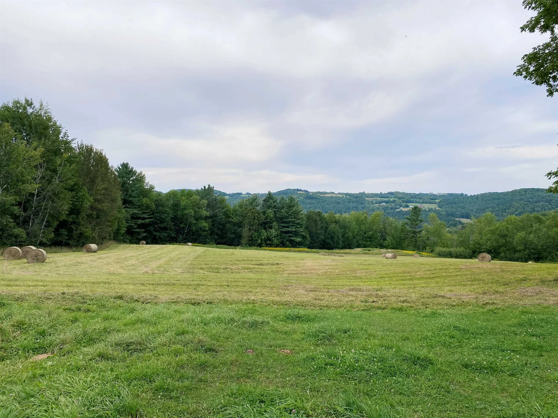 350 Bayley Hazen Road Peacham VT 05660