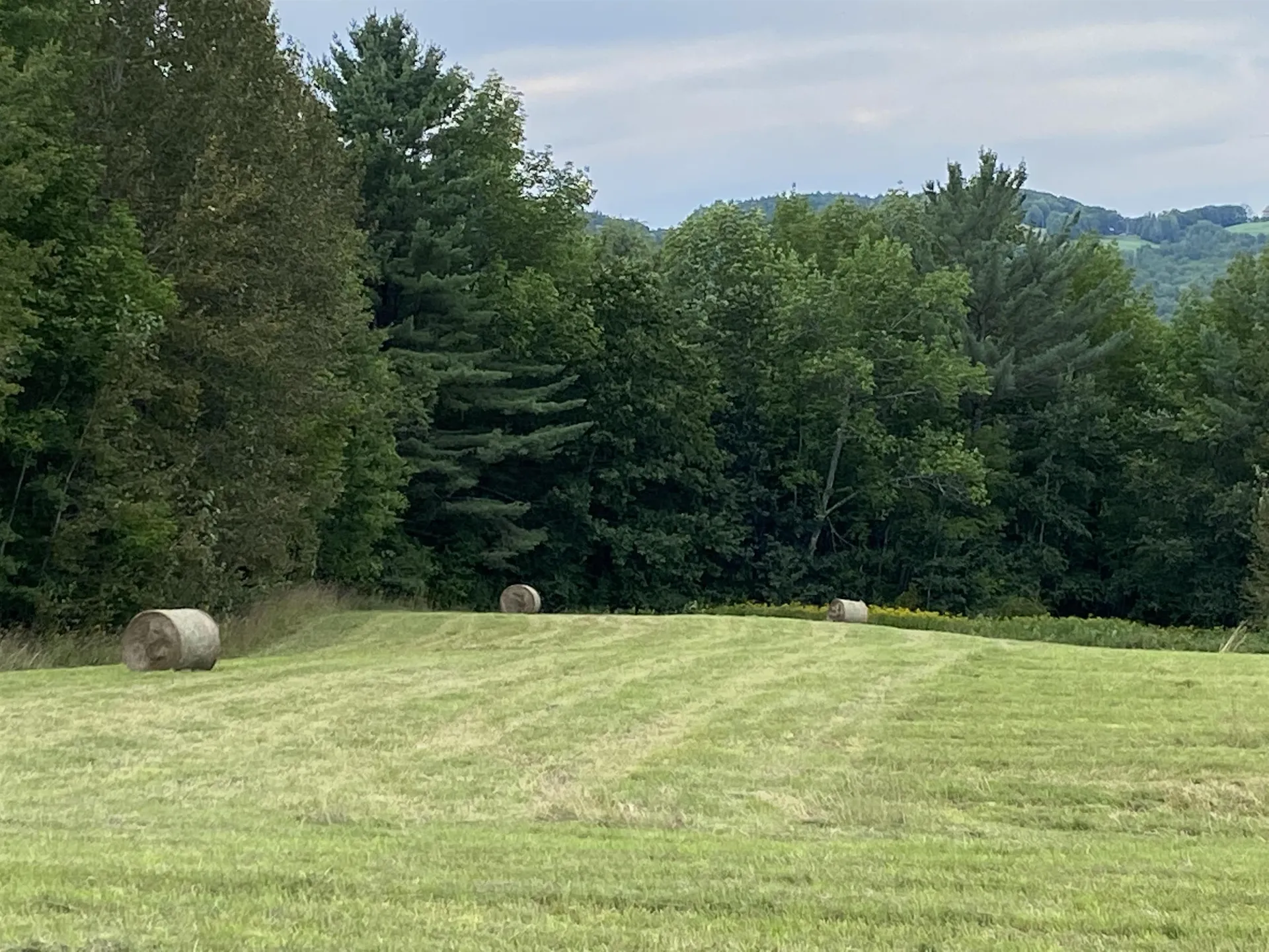 350 Bayley Hazen Road Peacham VT 05660