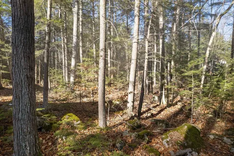 Lot 35 Braun Bay Road Moultonborough NH 03254