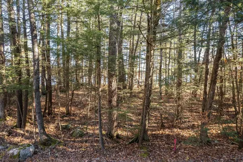 Lot 35 Braun Bay Road Moultonborough NH 03254