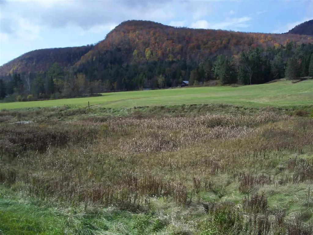 L17 Dry Pond Road Glover VT 05839