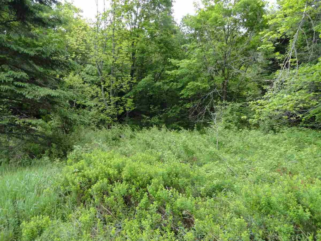 L17 Dry Pond Road Glover VT 05839