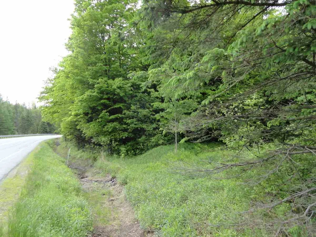 L17 Dry Pond Road Glover VT 05839