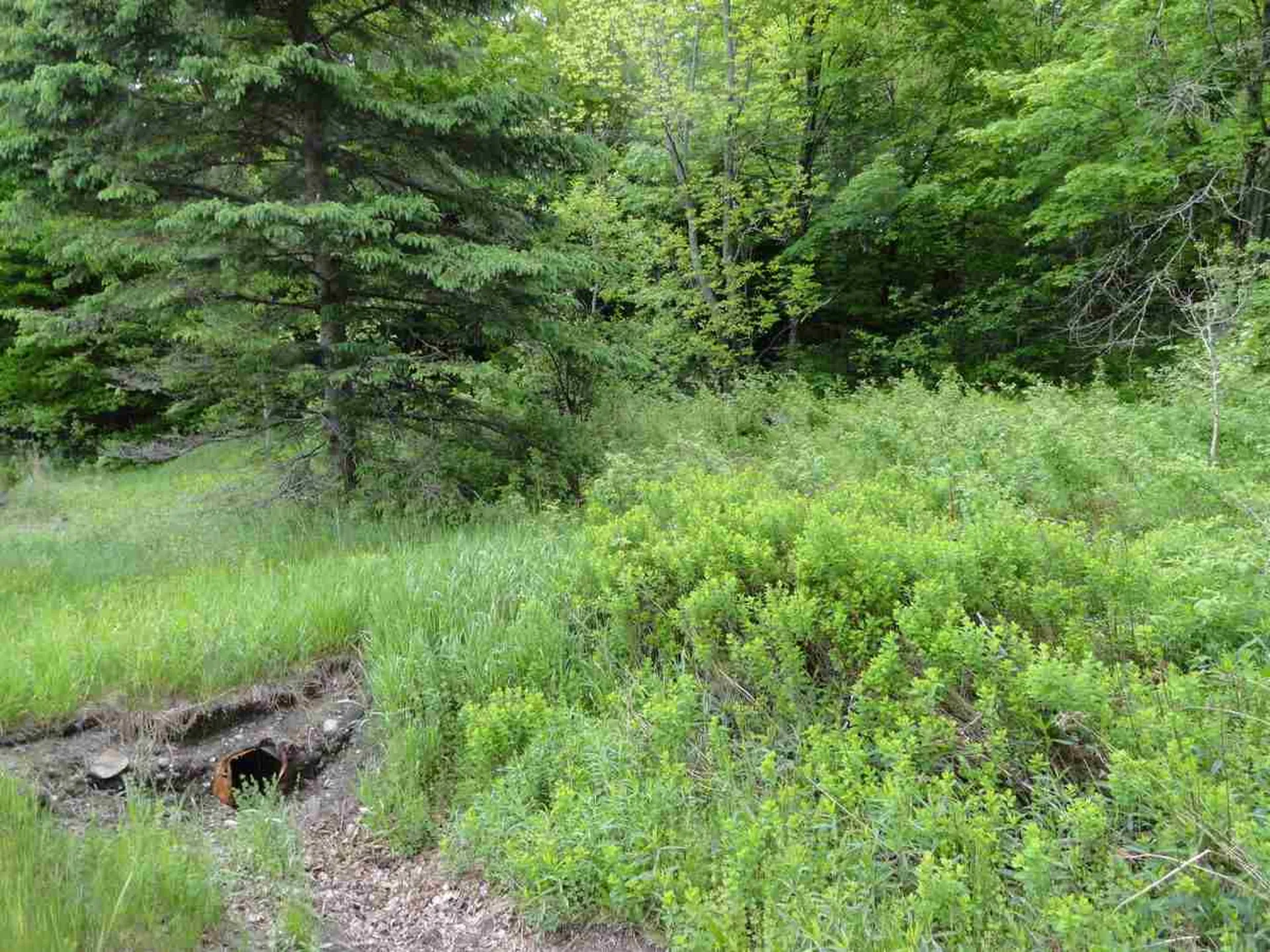 L17 Dry Pond Road Glover VT 05839