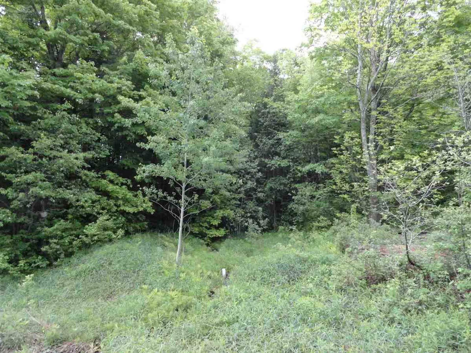 L17 Dry Pond Road Glover VT 05839