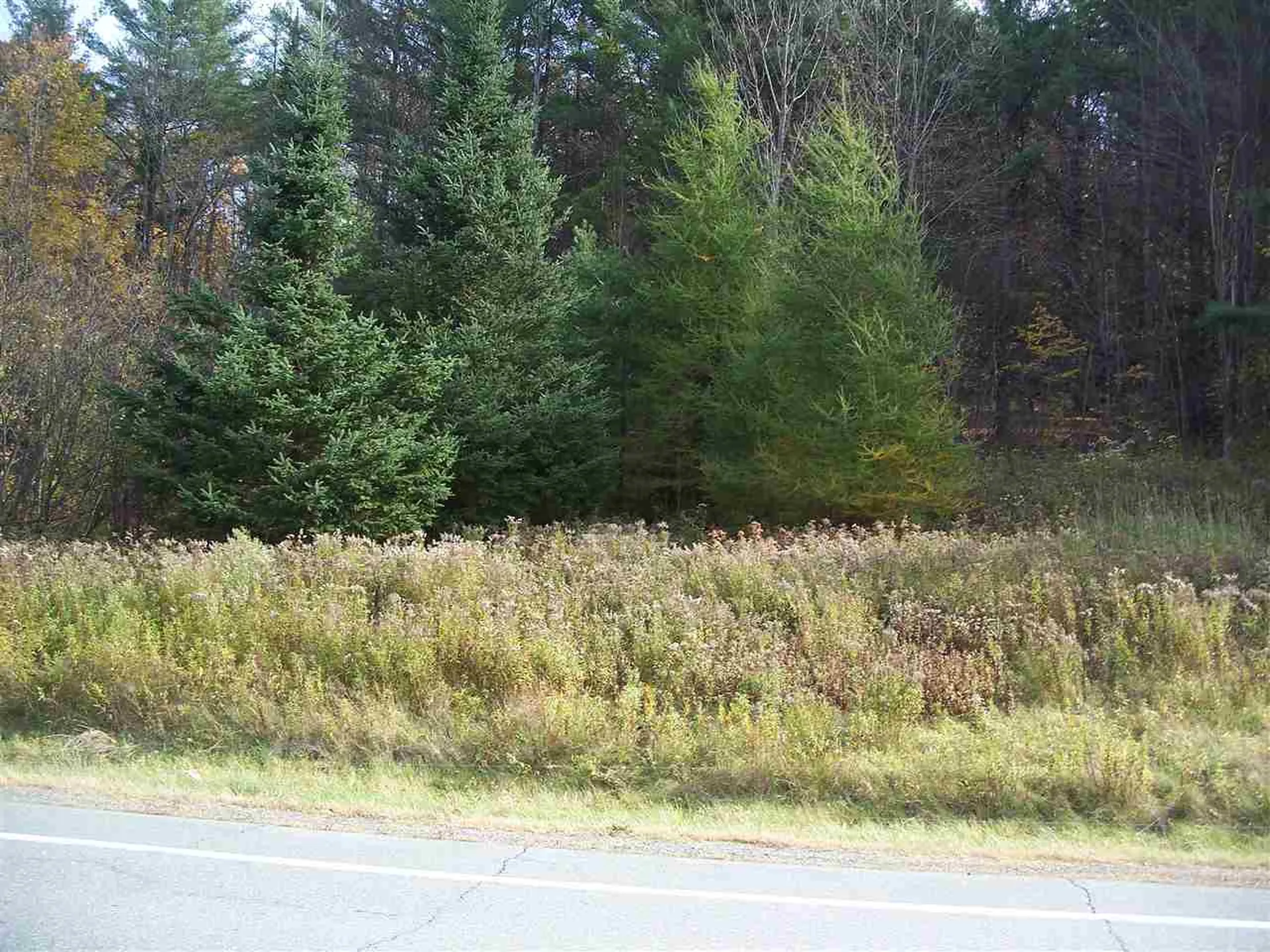 L17 Dry Pond Road Glover VT 05839