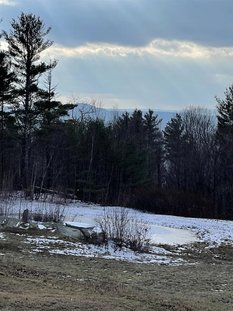 127 Ridge Road Townshend VT 05353