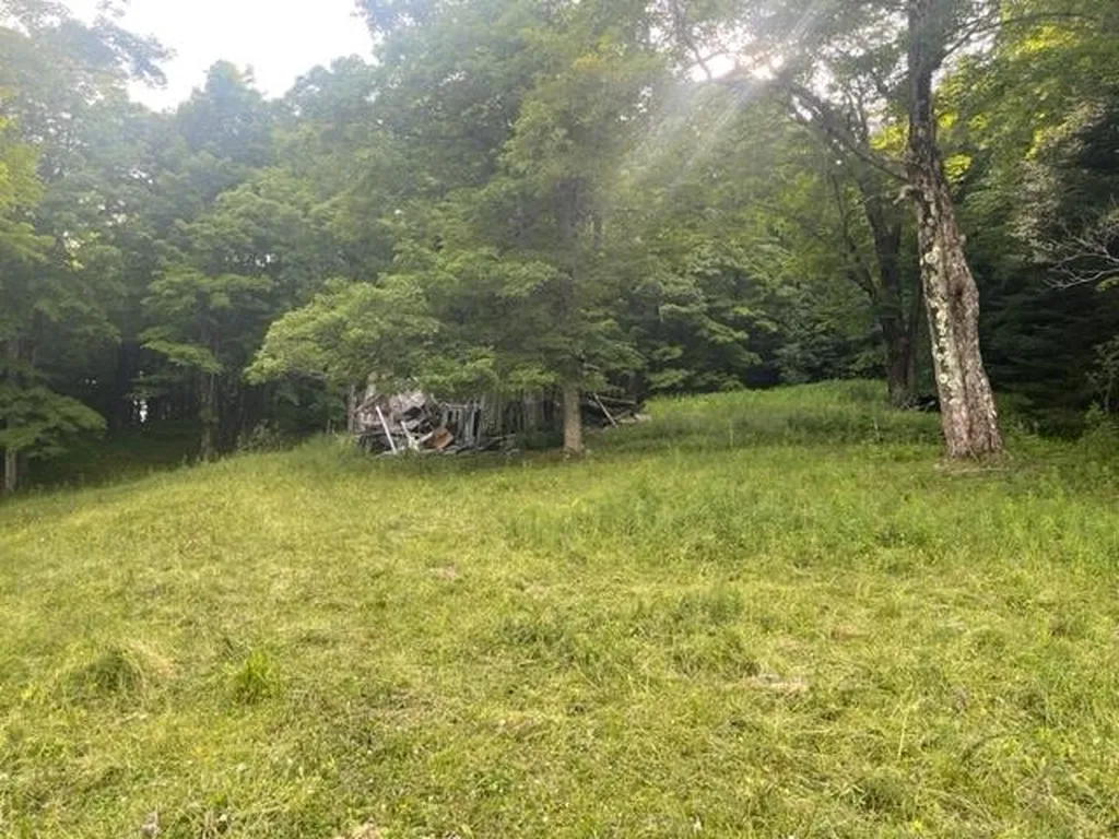 2027 Burrington Hill Road Whitingham VT 05361