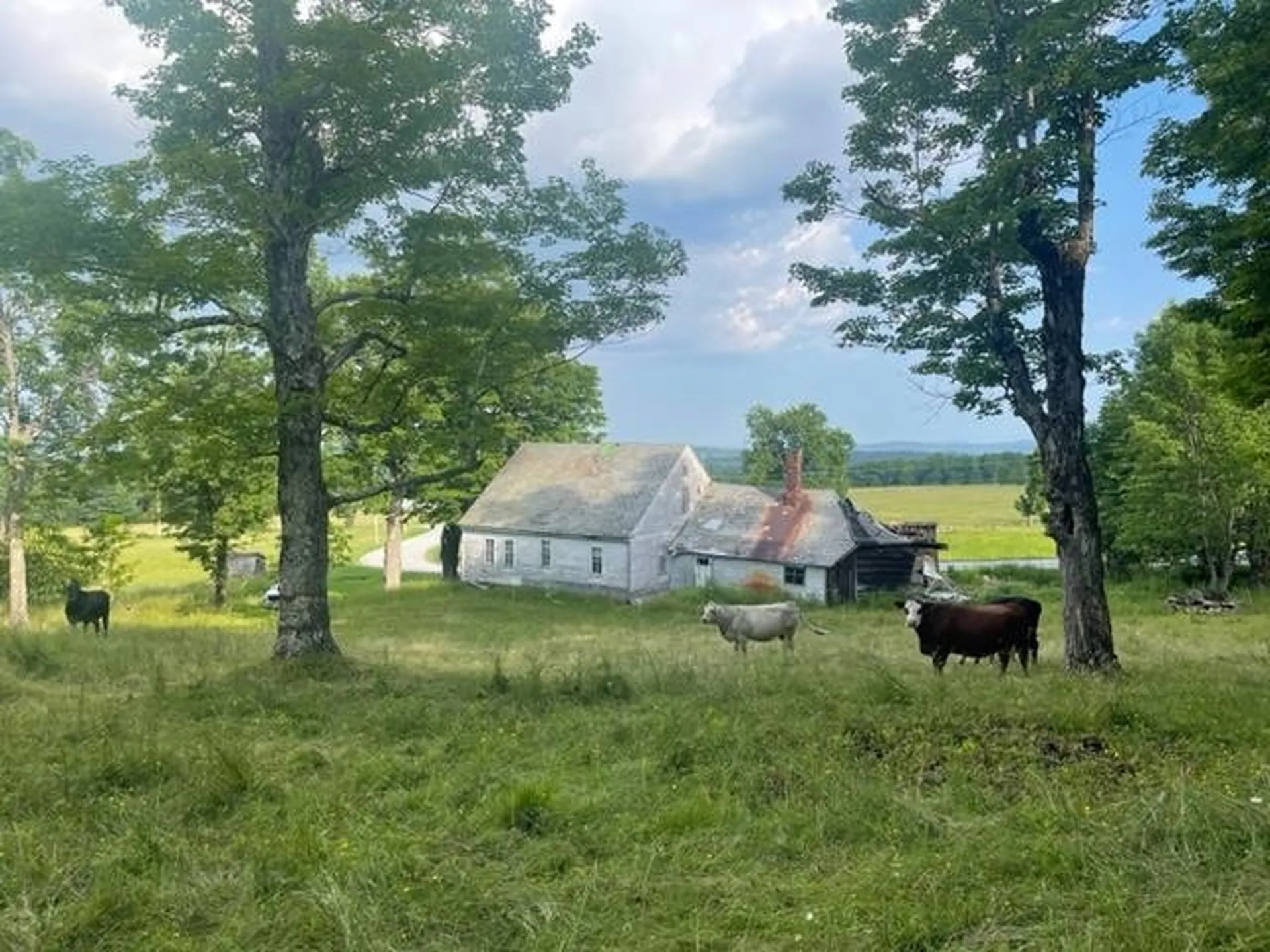 2027 Burrington Hill Road Whitingham VT 05361