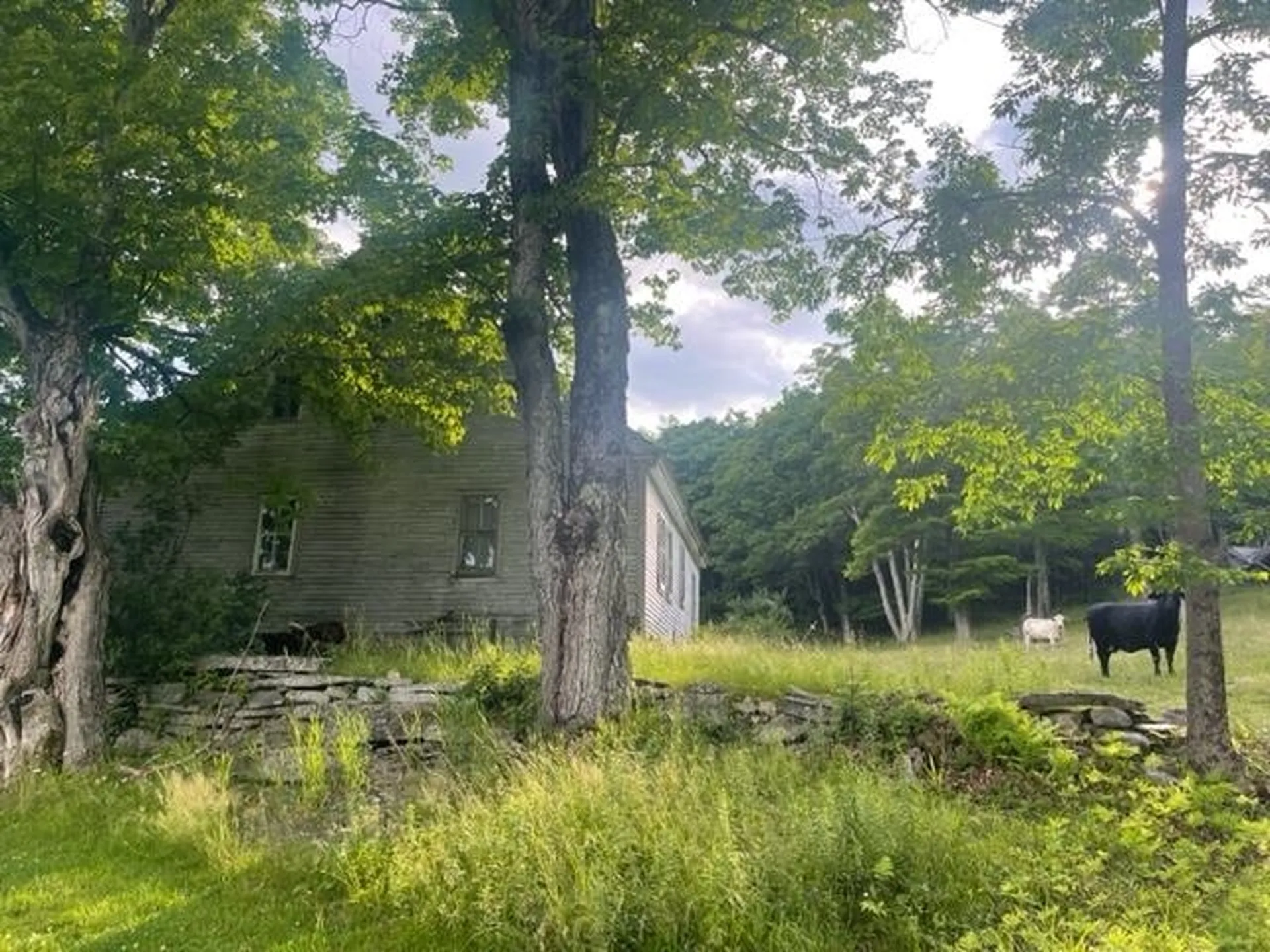 2027 Burrington Hill Road Whitingham VT 05361