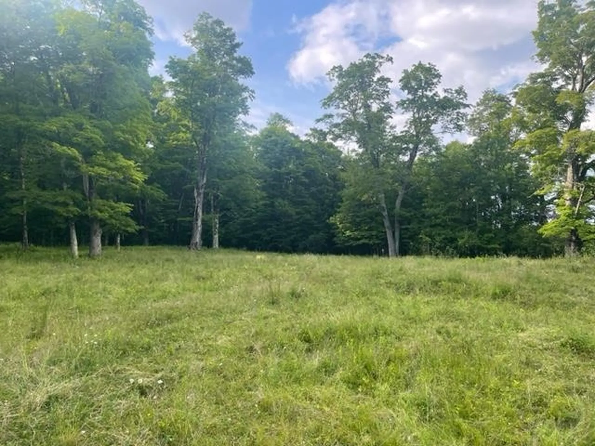 2027 Burrington Hill Road Whitingham VT 05361