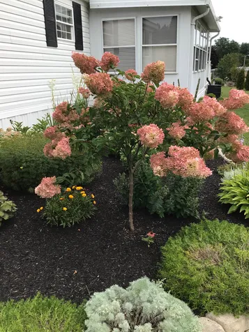 11 Monadnock Drive Rochester NH 03867