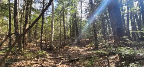 16 Beech River Circle Ossipee NH 03814