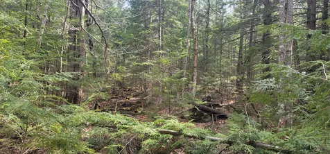 16 Beech River Circle Ossipee NH 03814
