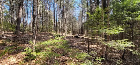 16 Beech River Circle Ossipee NH 03814