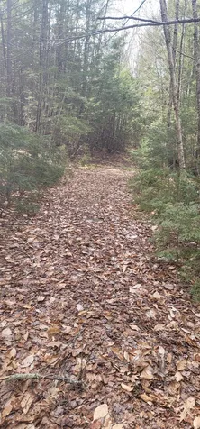 16 Beech River Circle Ossipee NH 03814