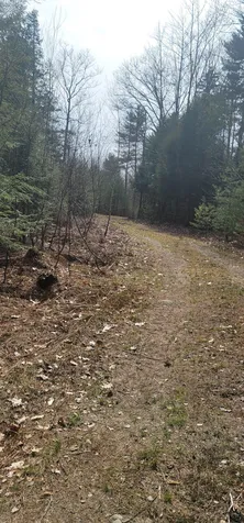 16 Beech River Circle Ossipee NH 03814