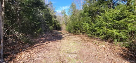 16 Beech River Circle Ossipee NH 03814