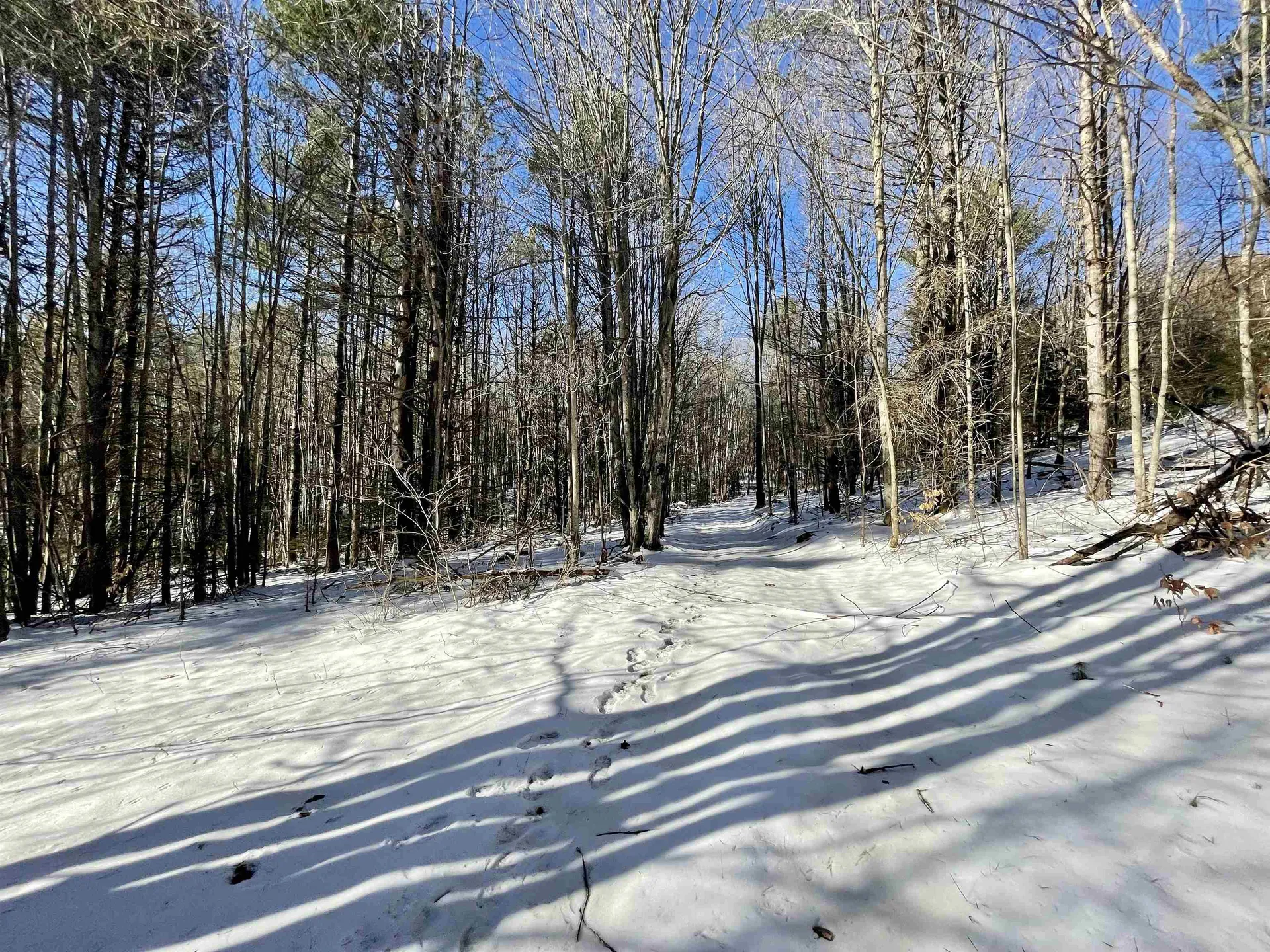 00 Wrights Mountain Road Bradford VT 05033
