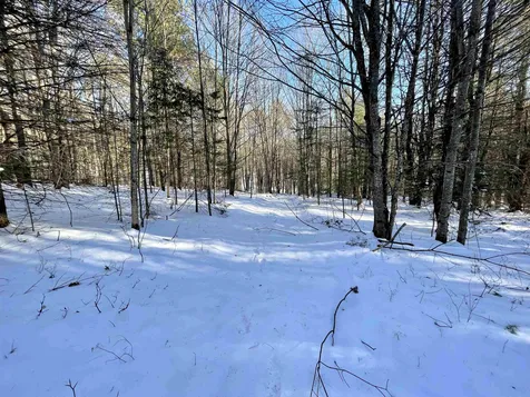 00 Wrights Mountain Road Bradford VT 05033