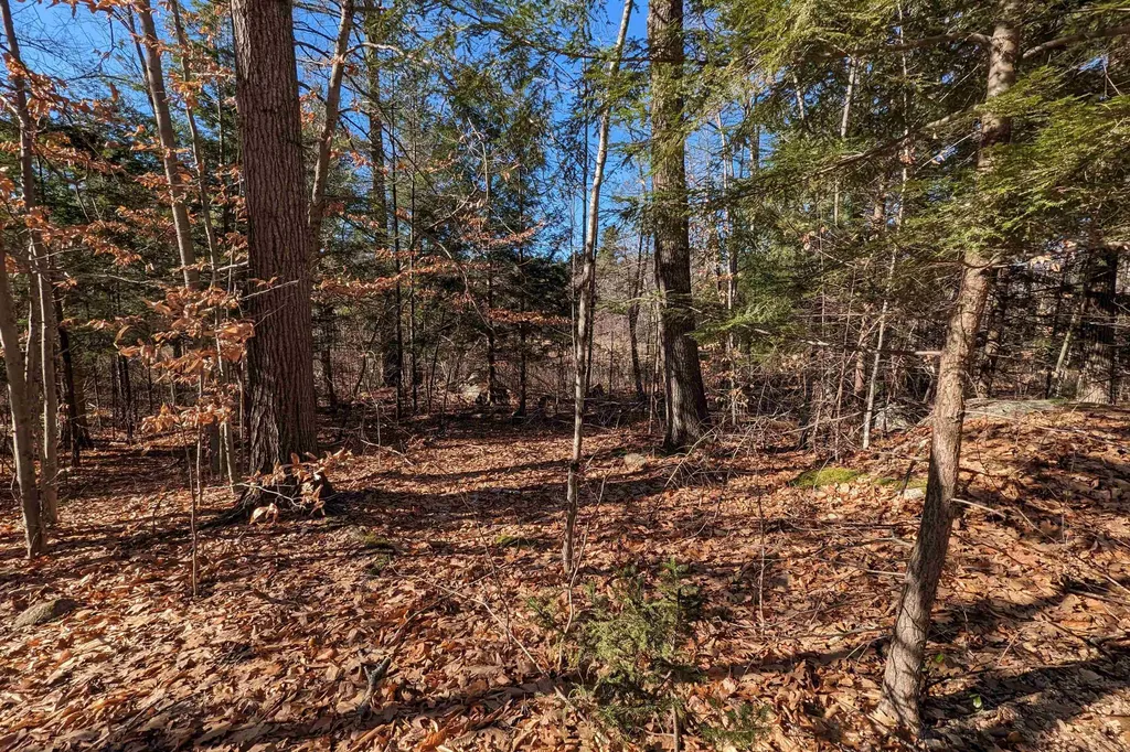 00 Sibley Road Moultonborough NH 03254