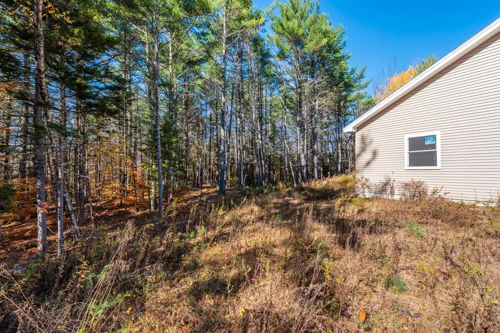 100 Trow Hill Road Sunapee NH 03782