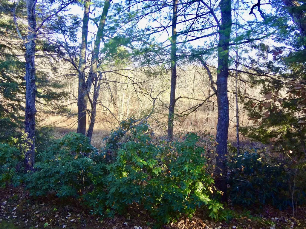 23 Magnolia Lane Belmont NH 03220