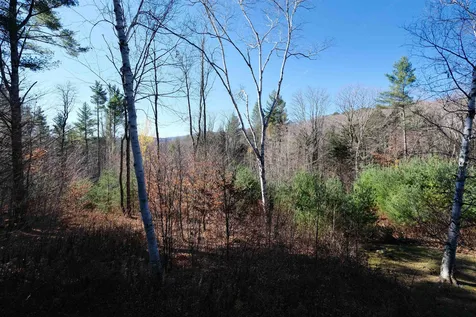1844 South Hill Road Ludlow VT 05149
