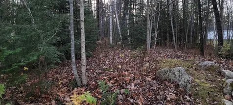 Lot 194-1 Noyes Street Bethlehem NH 03574