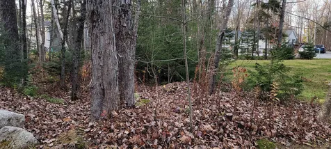 Lot 194-1 Noyes Street Bethlehem NH 03574