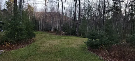 Lot 194-1 Noyes Street Bethlehem NH 03574