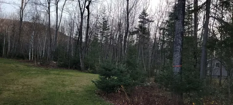Lot 194-1 Noyes Street Bethlehem NH 03574