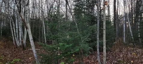 Lot 194-1 Noyes Street Bethlehem NH 03574