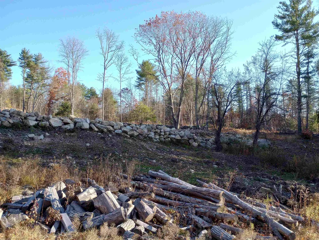 Lot 19/29 Old Mill Road Bedford NH 03110