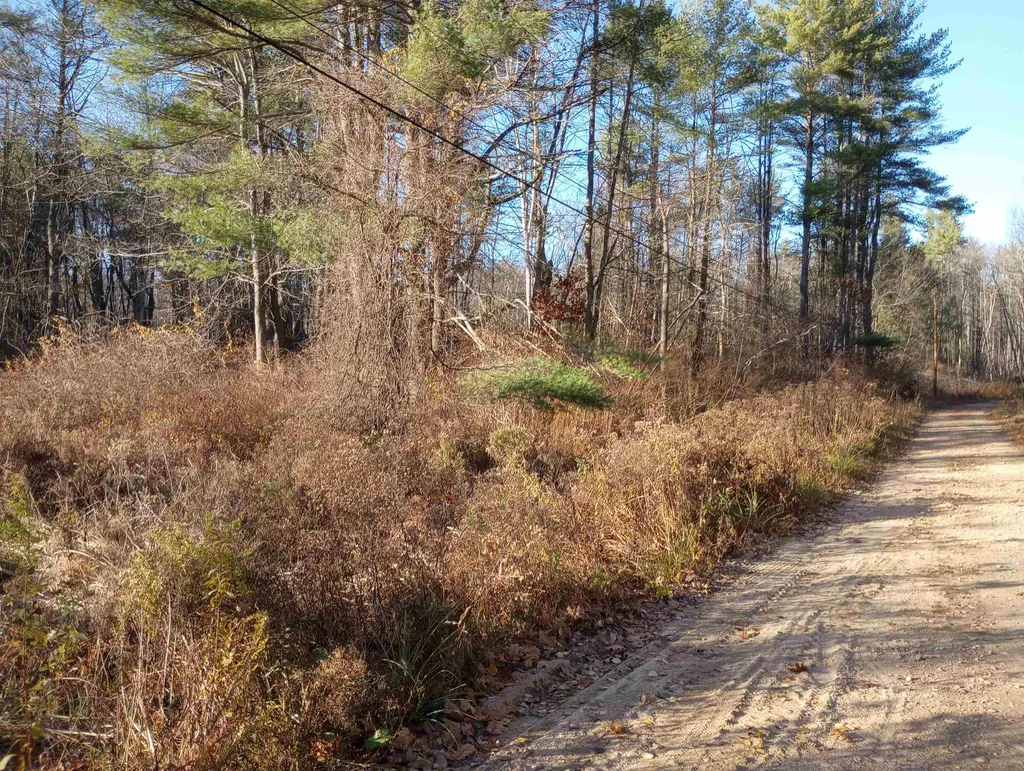 Lot 19/29 Old Mill Road Bedford NH 03110