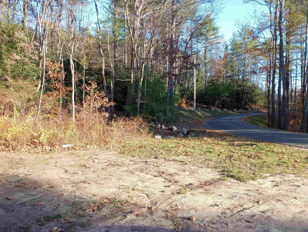 Lot 19/29 Old Mill Road Bedford NH 03110