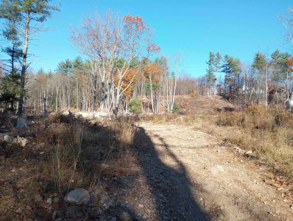 Lot 19/29 Old Mill Road Bedford NH 03110