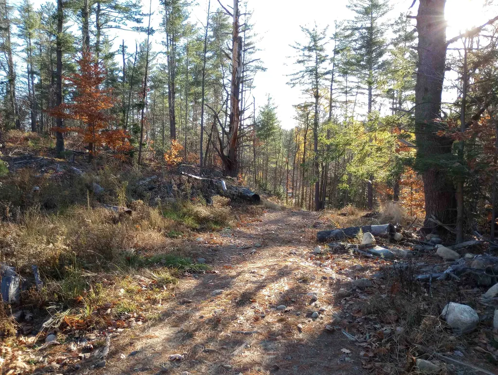 Lot 19/29 Old Mill Road Bedford NH 03110