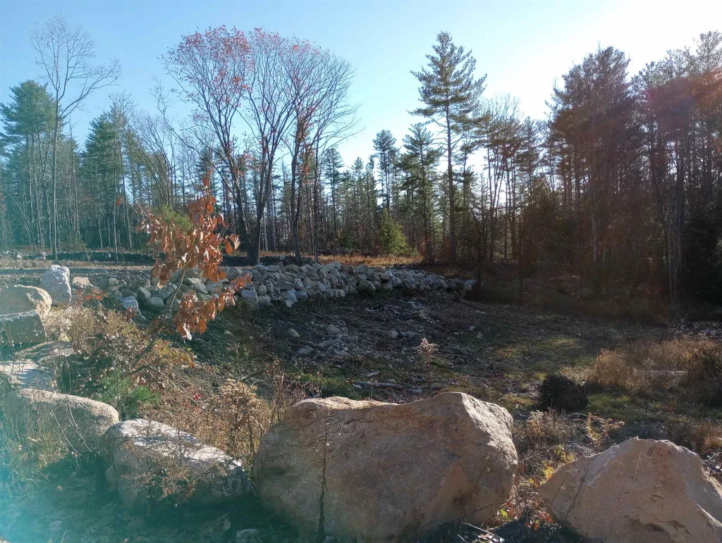 Lot 19/29 Old Mill Road Bedford NH 03110