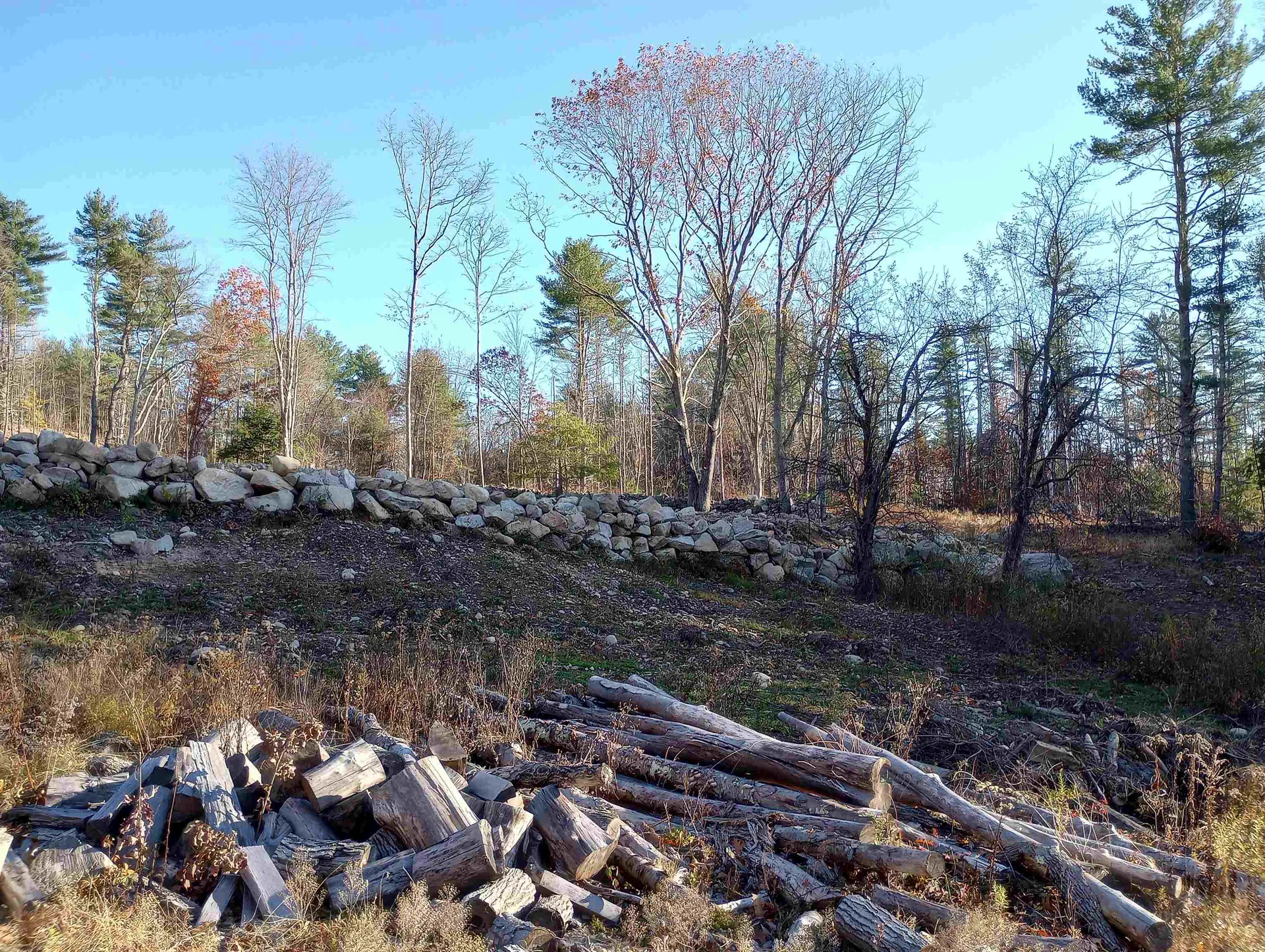 Lot 19/29 Old Mill Road Bedford NH 03110