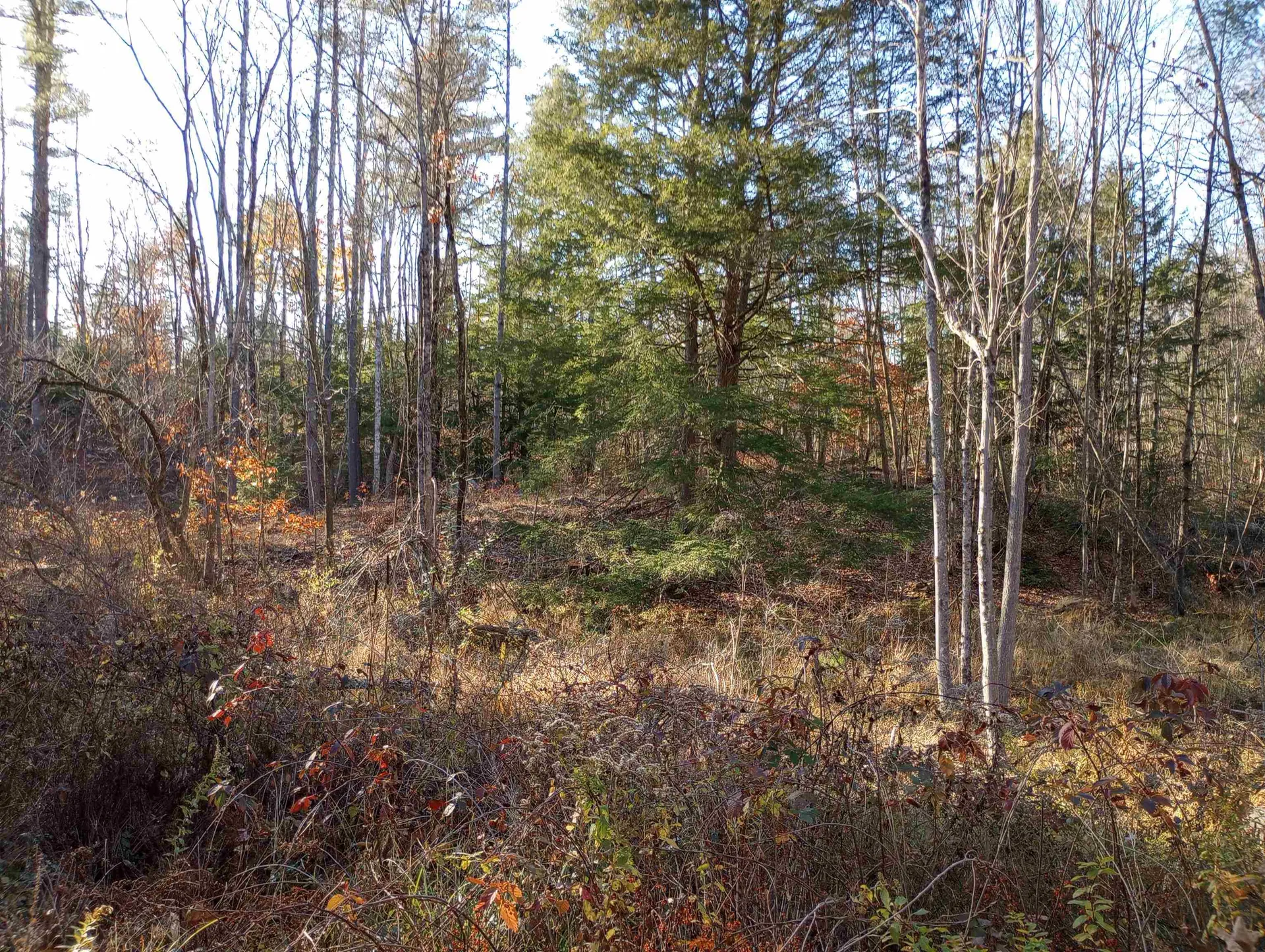 Lot 19/29 Old Mill Road Bedford NH 03110