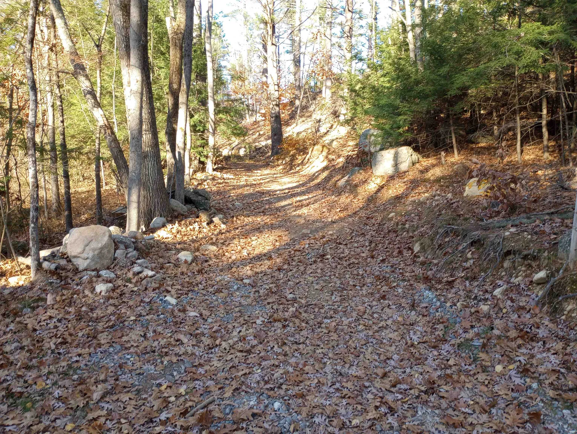 Lot 19/29 Old Mill Road Bedford NH 03110