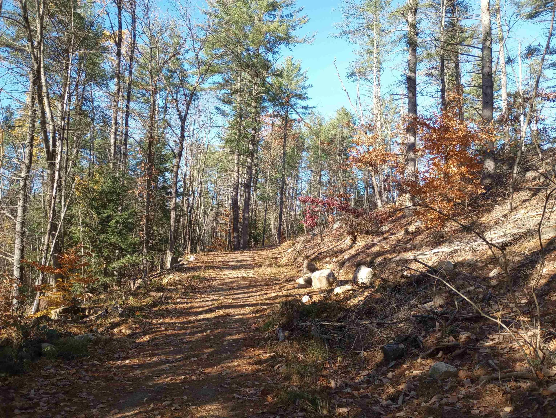 Lot 19/29 Old Mill Road Bedford NH 03110