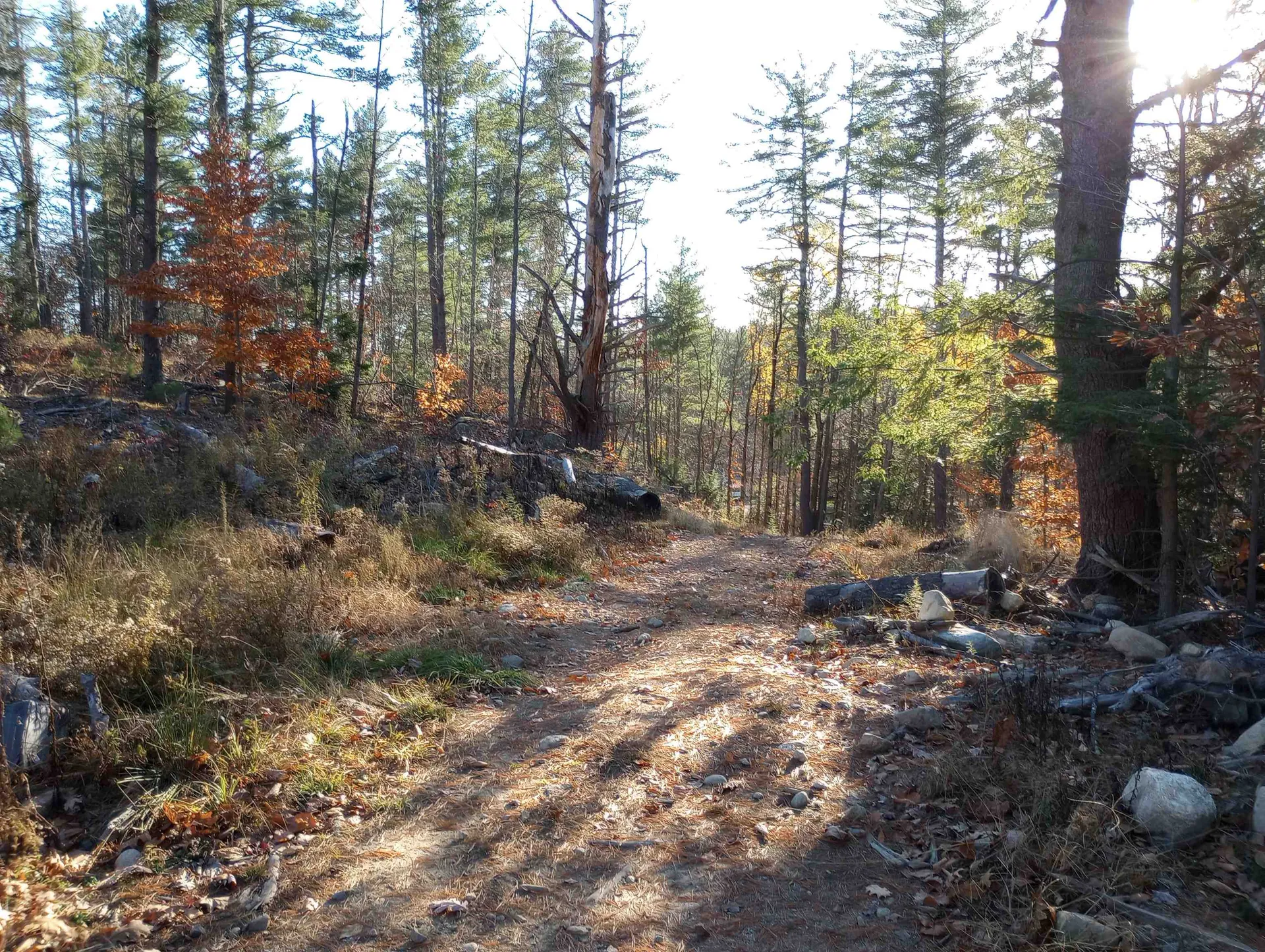 Lot 19/29 Old Mill Road Bedford NH 03110
