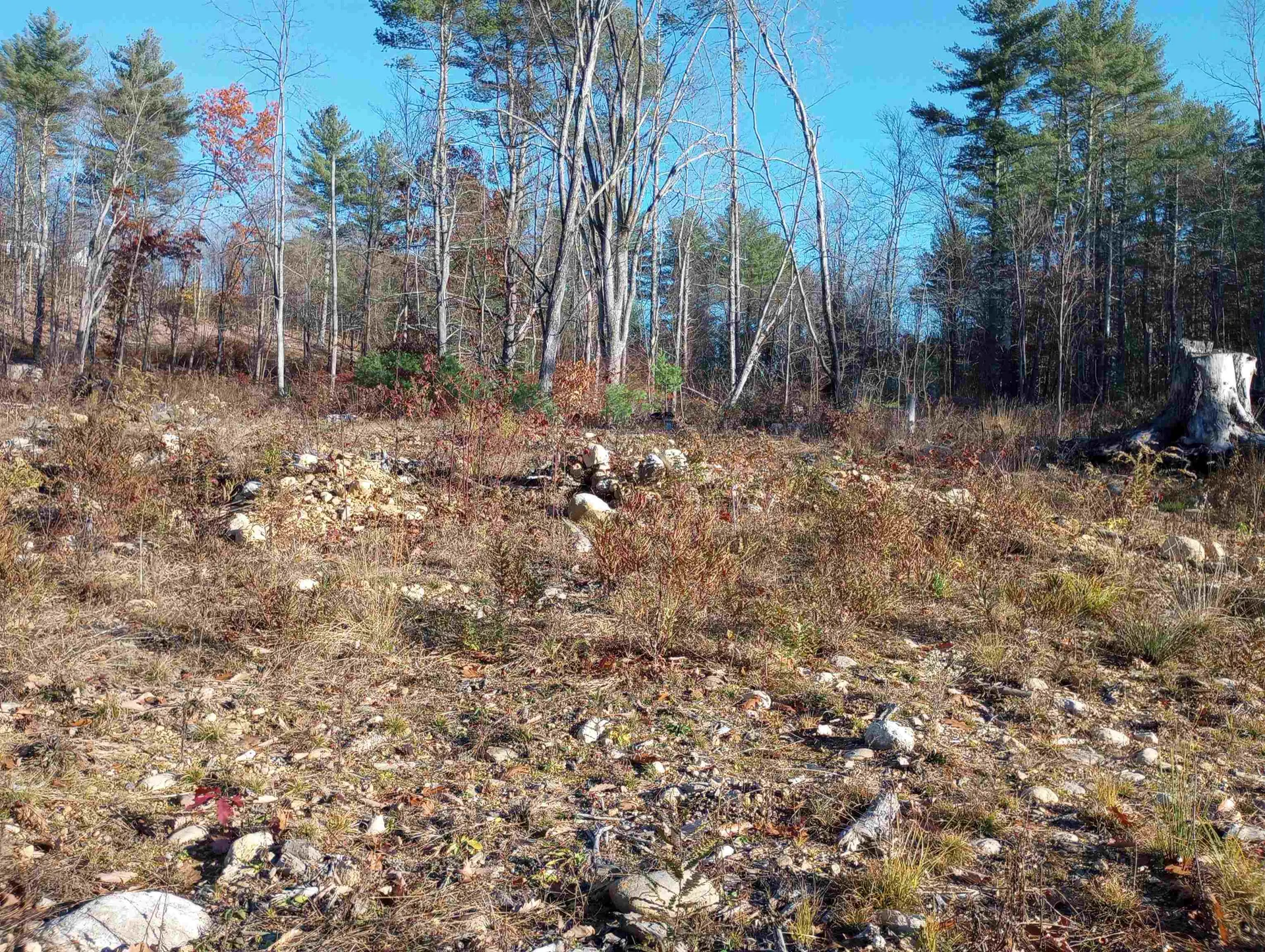 Lot 19/29 Old Mill Road Bedford NH 03110