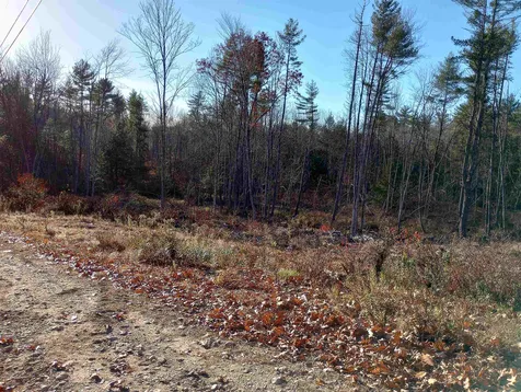 Lot 19/29 Old Mill Road Bedford NH 03110