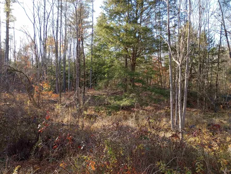 Lot 19/29 Old Mill Road Bedford NH 03110