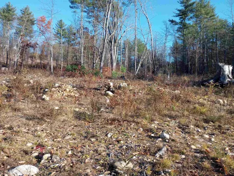Lot 19/29 Old Mill Road Bedford NH 03110